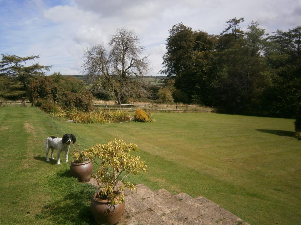 Stockleigh Lodge B&B Exford Экстерьер фото
